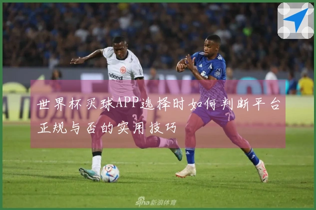 世界杯买球APP选择时如何判断平台正规与否的实用技巧