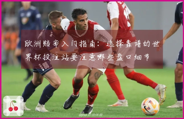 欧洲赔率入门指南：选择靠谱的世界杯投注站要注意哪些盘口细节