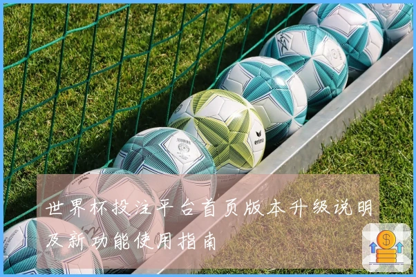 世界杯投注平台首页版本升级说明及新功能使用指南