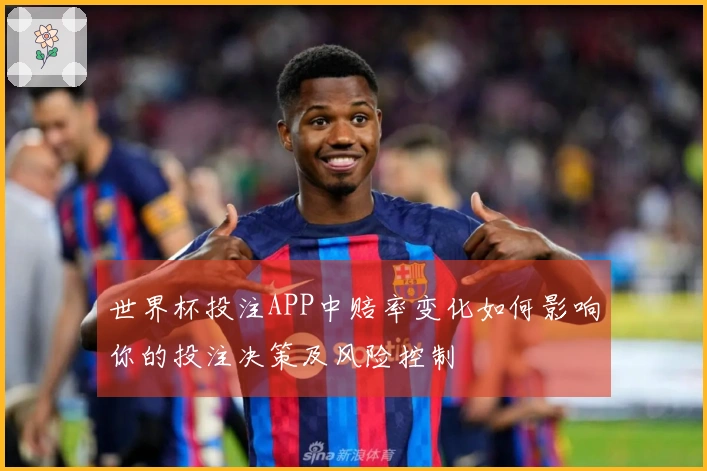 世界杯投注APP中赔率变化如何影响你的投注决策及风险控制