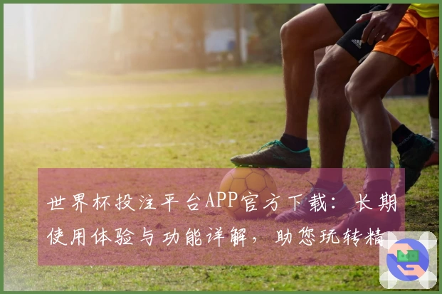 世界杯投注平台APP官方下载:长期使用体验与功能详解,助您玩转精彩赛事