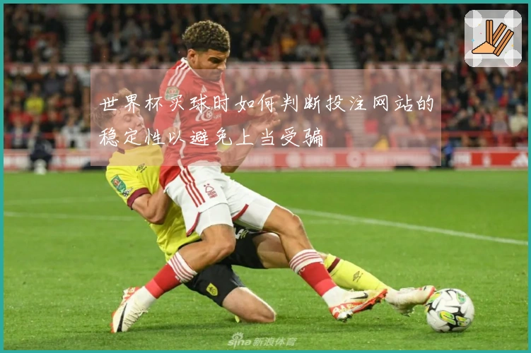世界杯买球时如何判断投注网站的稳定性以避免上当受骗