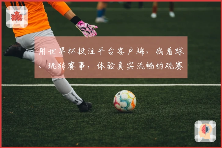 用世界杯投注平台客户端，我看球、玩转赛事，体验真实流畅的观赛乐趣