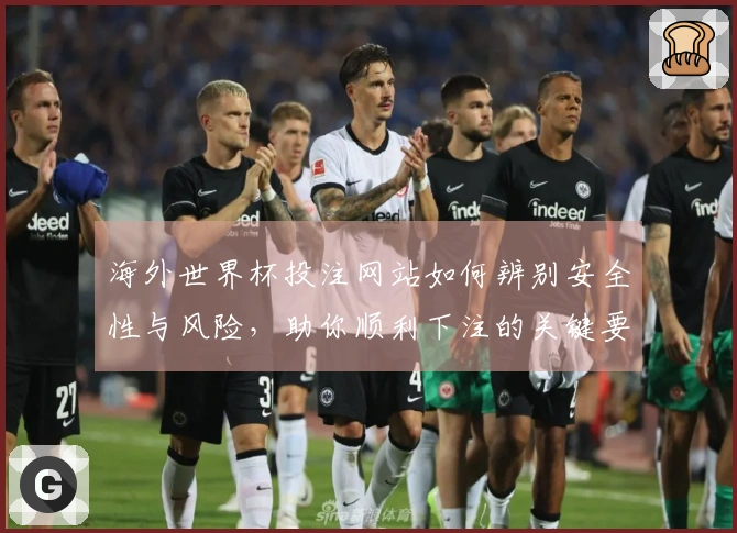 海外世界杯投注网站如何辨别安全性与风险，助你顺利下注的关键要素