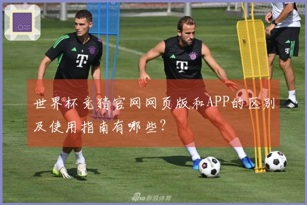 世界杯竞猜官网网页版和APP的区别及使用指南有哪些?