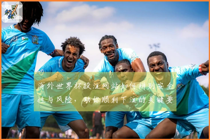 海外世界杯投注网站如何辨别安全性与风险，助你顺利下注的关键要素