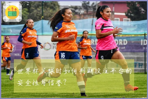 世界杯买球时如何判断投注平台的安全性与信誉？