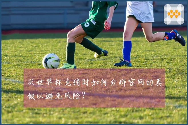 买世界杯竞猜时如何分辨官网的真假以避免风险?