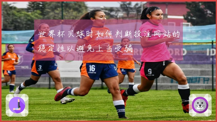世界杯买球时如何判断投注网站的稳定性以避免上当受骗