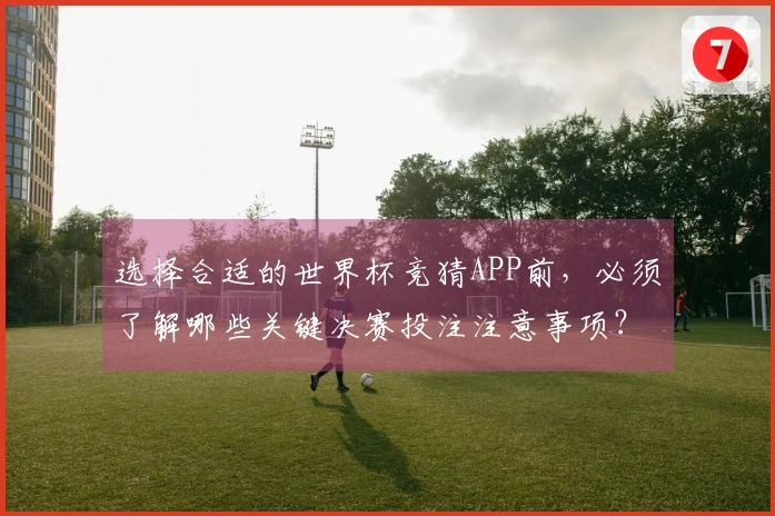 选择合适的世界杯竞猜APP前，必须了解哪些关键决赛投注注意事项？