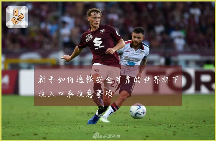 新手如何选择安全可靠的世界杯下注入口和注意事项