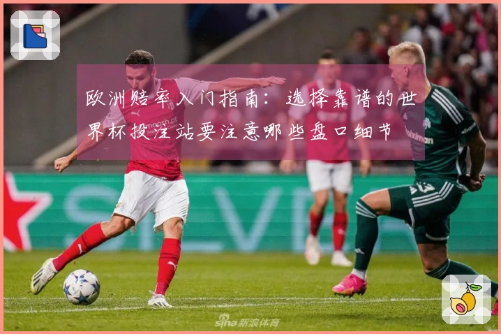 欧洲赔率入门指南：选择靠谱的世界杯投注站要注意哪些盘口细节