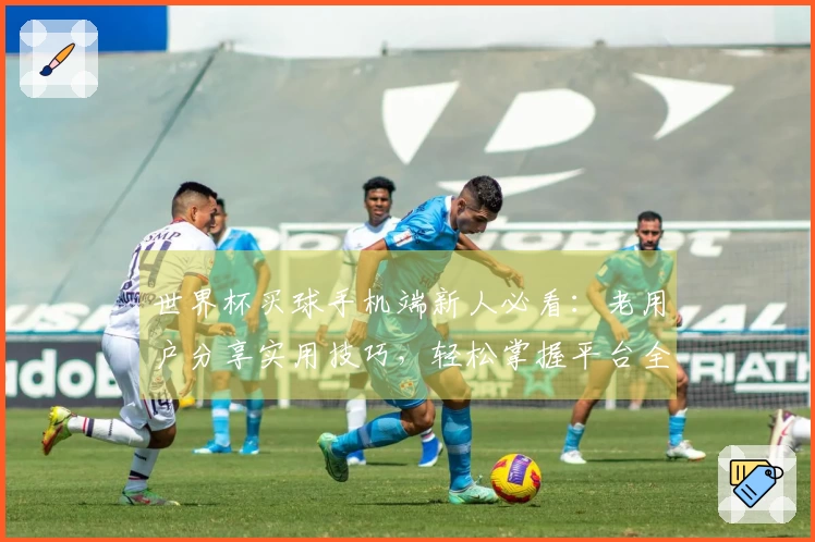 世界杯买球手机端新人必看：老用户分享实用技巧，轻松掌握平台全部功能