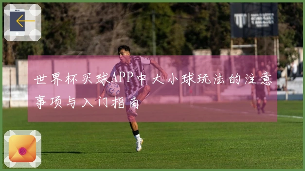世界杯买球APP中大小球玩法的注意事项与入门指南