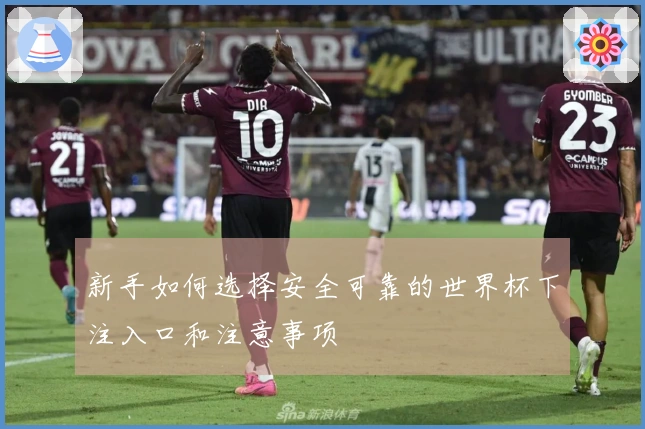 新手如何选择安全可靠的世界杯下注入口和注意事项