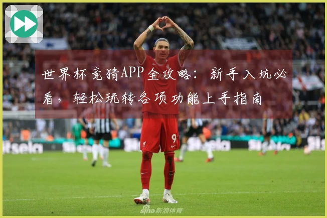 世界杯竞猜APP全攻略：新手入坑必看，轻松玩转各项功能上手指南