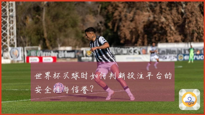 世界杯买球时如何判断投注平台的安全性与信誉？
